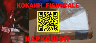 гидра Будённовск