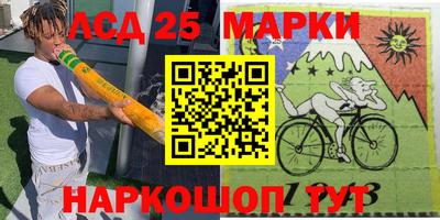 гидра Будённовск
