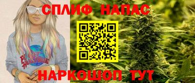 гидра Будённовск