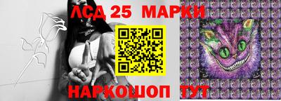 гидра Будённовск