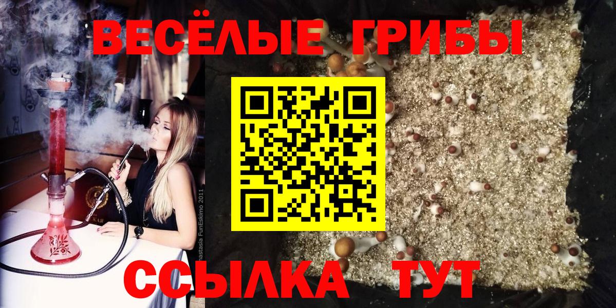 Псилоцибиновые грибы мухоморы  Вход с VPN  Галлюциногенные грибы прущие грибы  Кумертау 