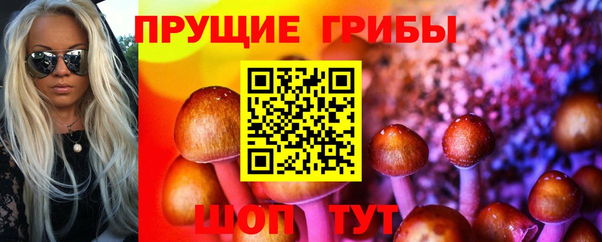 Галлюциногенные грибы Cubensis Кумертау